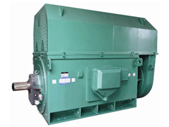 尖山Y系列6KV高压电机